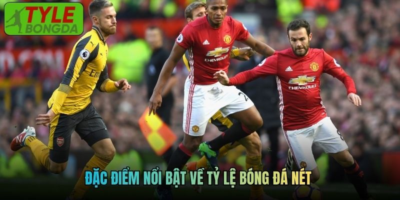 Đặc điểm nổi bật về tỷ lệ bóng đá nét