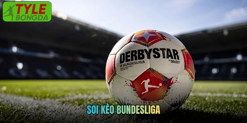 Soi Kèo Bundesliga Tylebongda - Dự Đoán Chuẩn Mỗi Trận Đấu